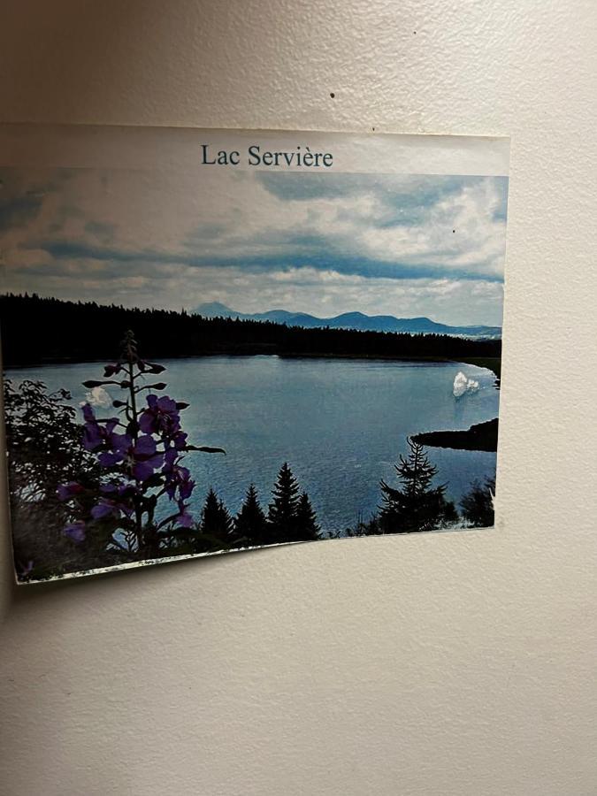 Super-Besse Residence Le Lac Bleu Serviere Chez Lorenzo Et Severine Exterior foto